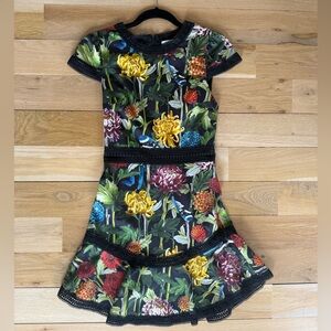 Alice and Olivia Rapunzel Dress